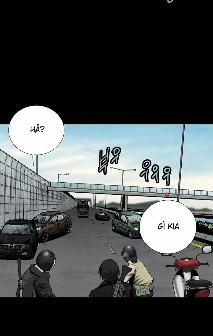 Thảm Họa Ong Độc Chapter 69 - Trang 2