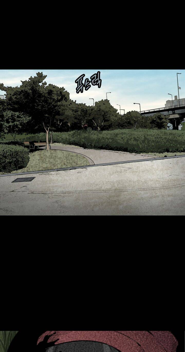 Thảm Họa Ong Độc Chapter 71 - Trang 2