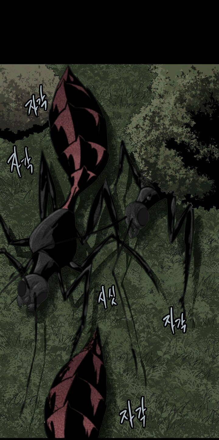 Thảm Họa Ong Độc Chapter 71 - Trang 2