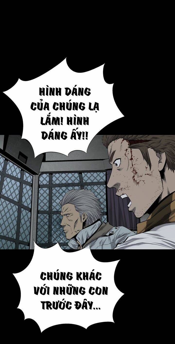 Thảm Họa Ong Độc Chapter 71 - Trang 2