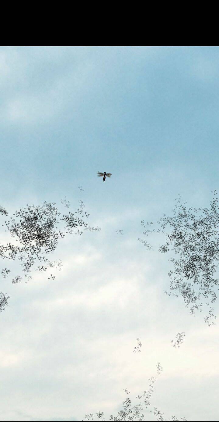 Thảm Họa Ong Độc Chapter 71 - Trang 2