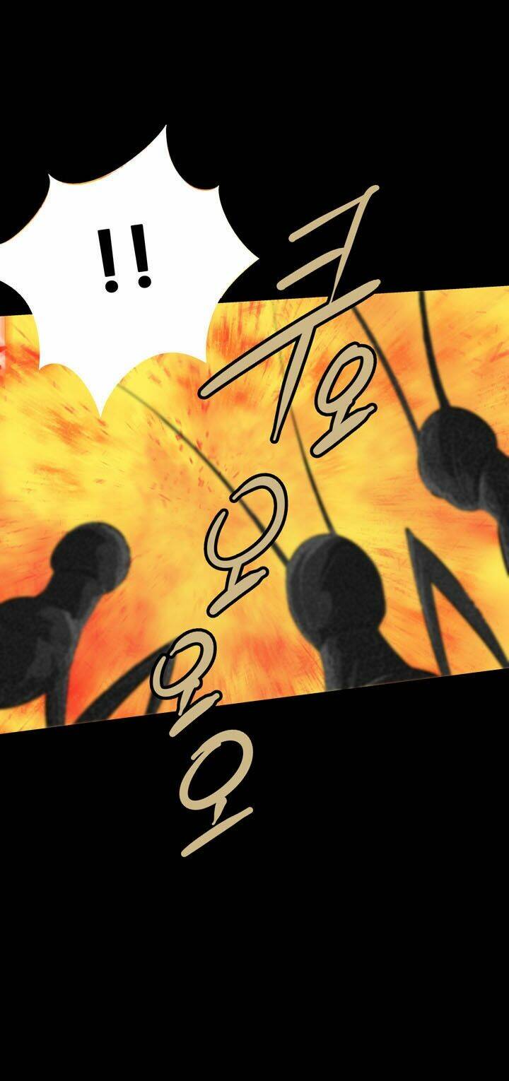 Thảm Họa Ong Độc Chapter 73 - Trang 2