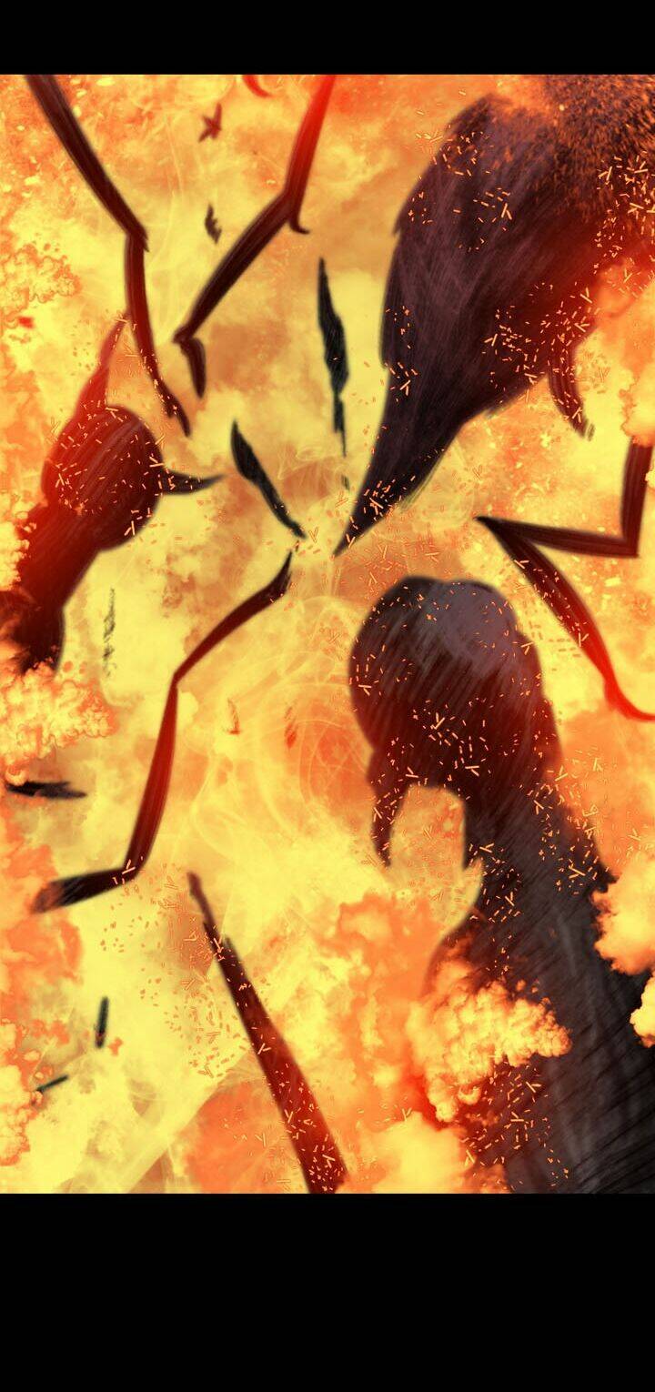 Thảm Họa Ong Độc Chapter 73 - Trang 2