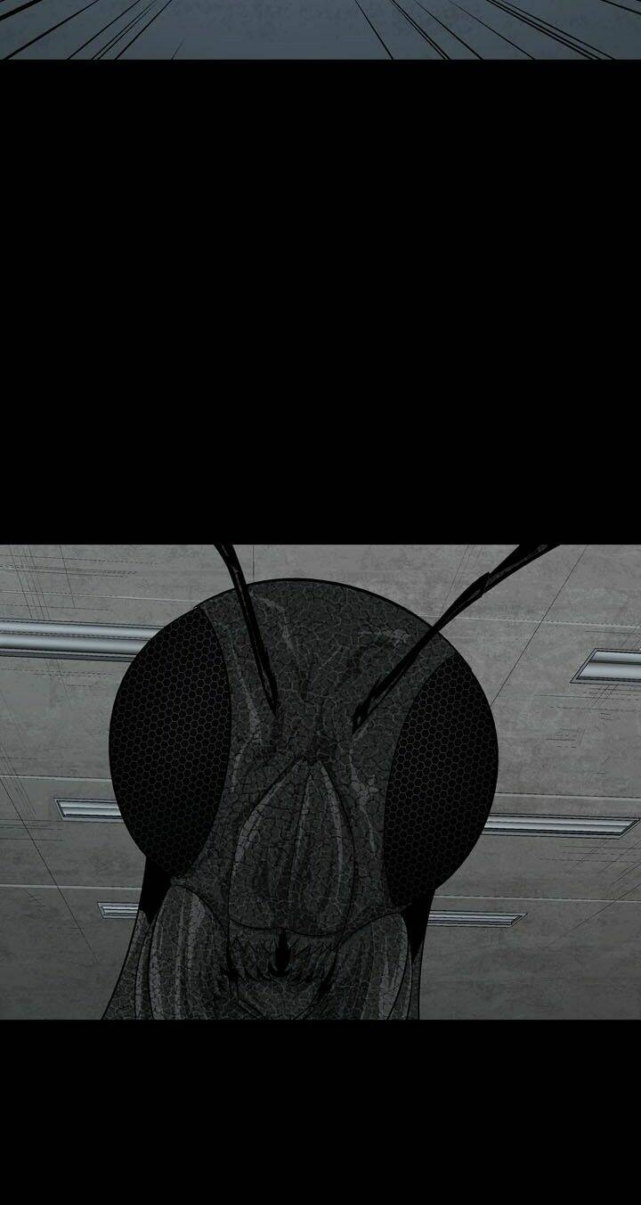 Thảm Họa Ong Độc Chapter 74 - Trang 2