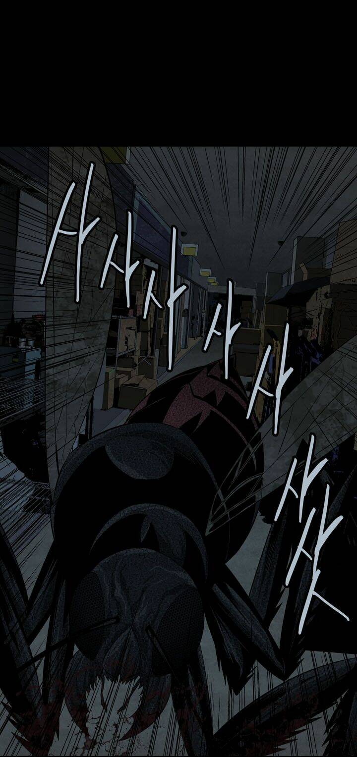 Thảm Họa Ong Độc Chapter 75 - Trang 2