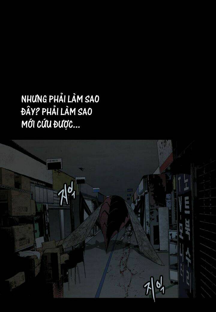 Thảm Họa Ong Độc Chapter 75 - Trang 2