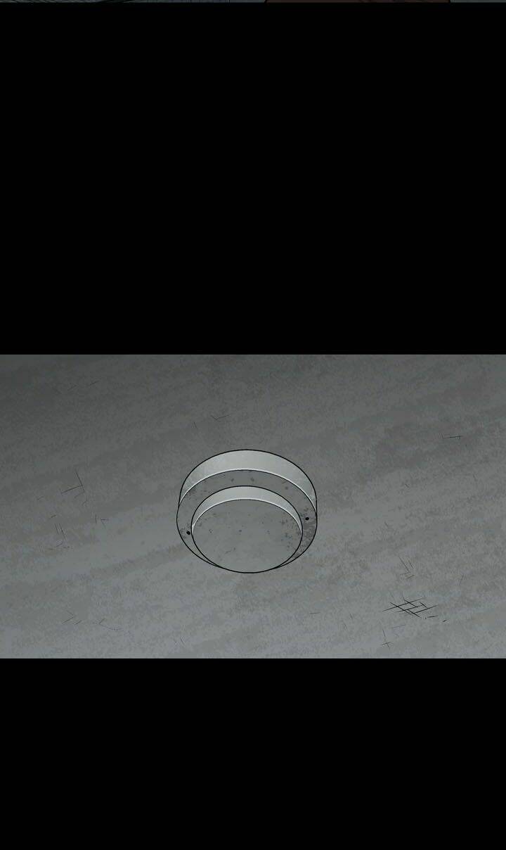 Thảm Họa Ong Độc Chapter 75 - Trang 2