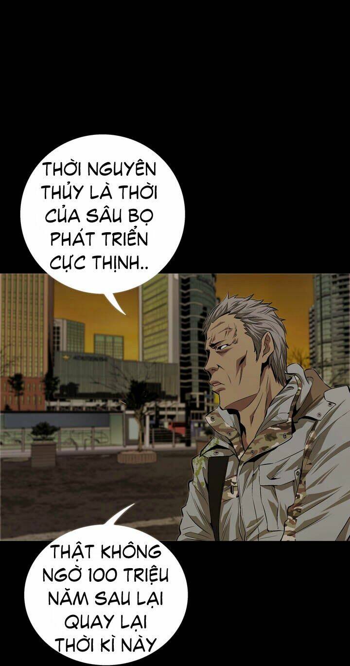 Thảm Họa Ong Độc Chapter 8 - Trang 2