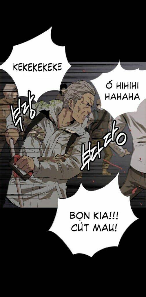 Thảm Họa Ong Độc Chapter 8 - Trang 2