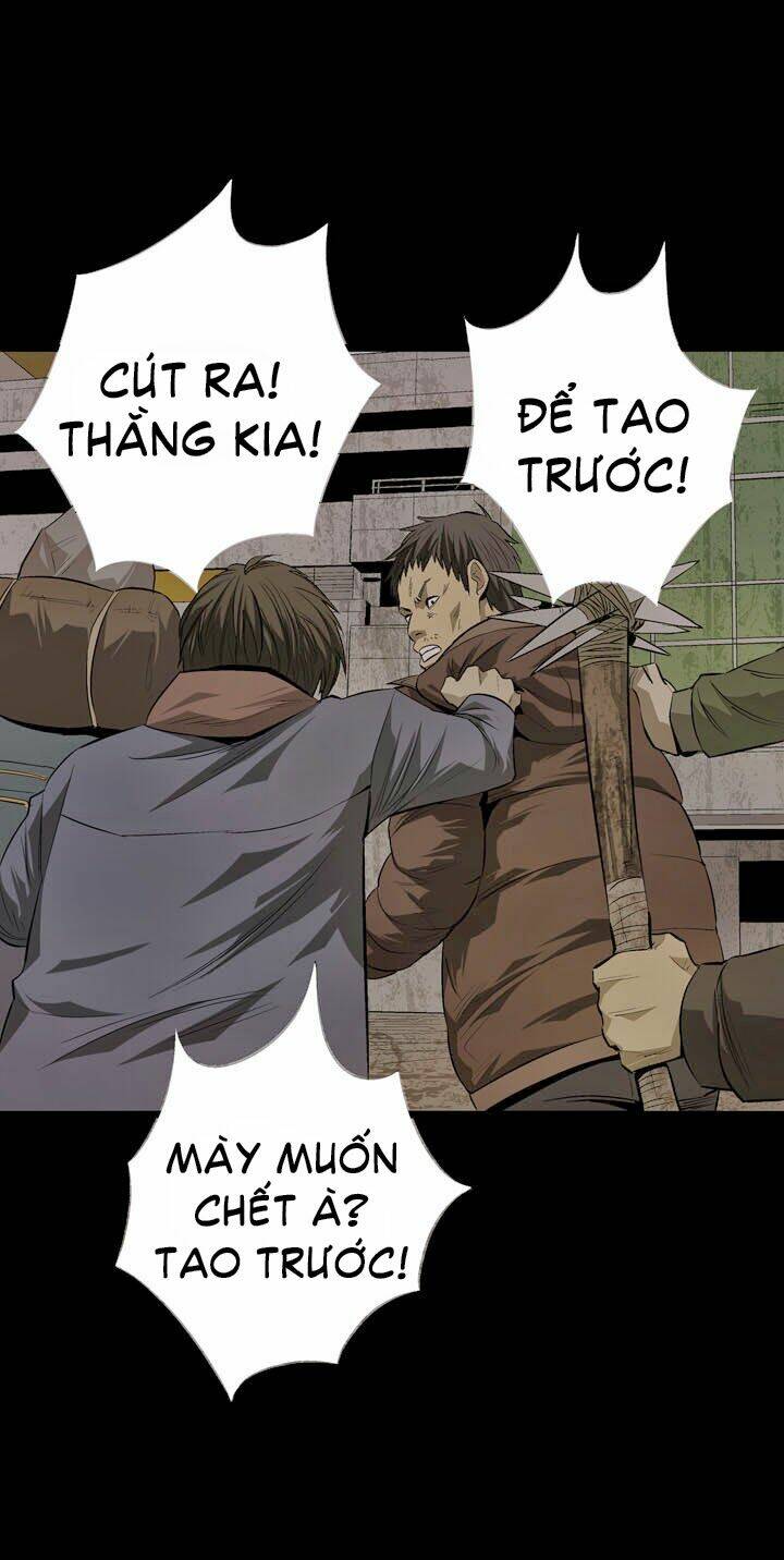 Thảm Họa Ong Độc Chapter 8 - Trang 2
