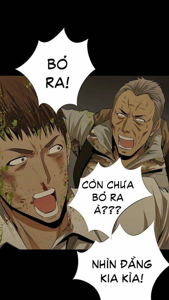 Thảm Họa Ong Độc Chapter 8 - Trang 2