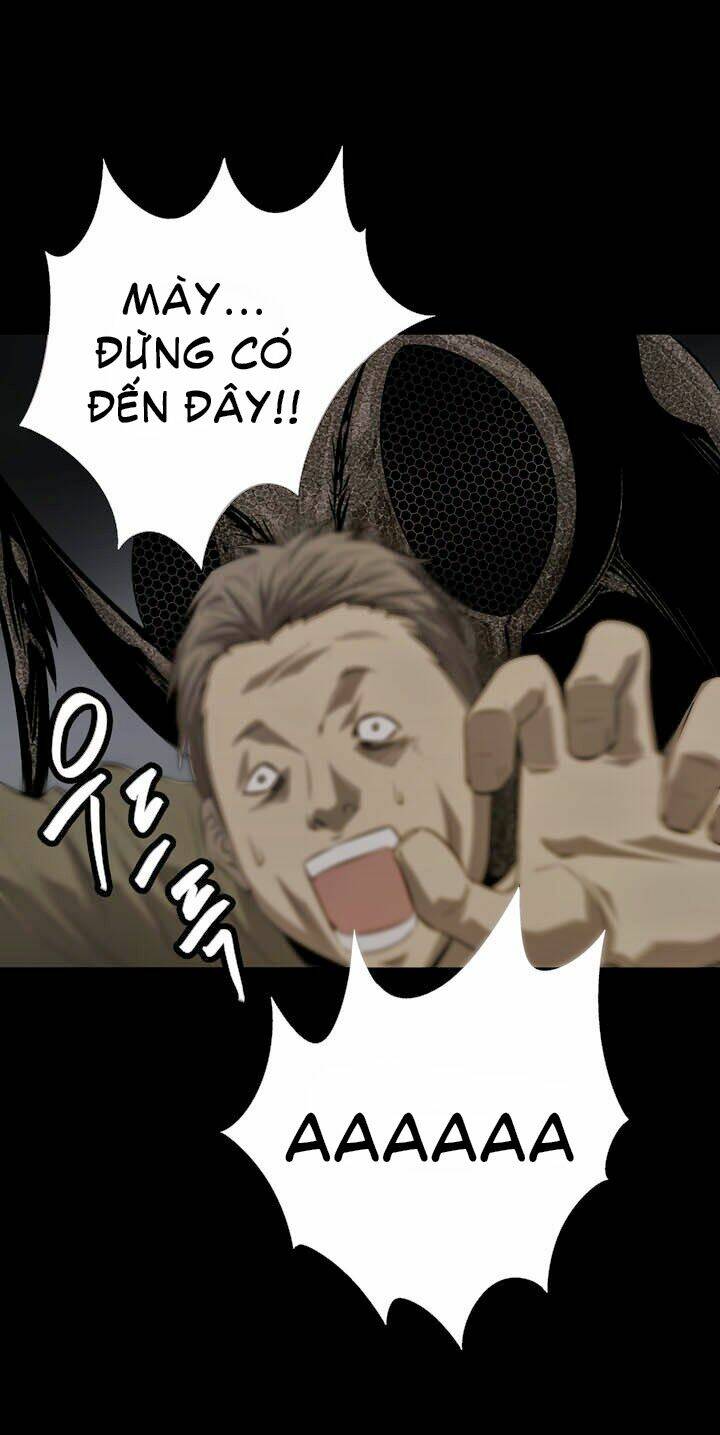 Thảm Họa Ong Độc Chapter 8 - Trang 2