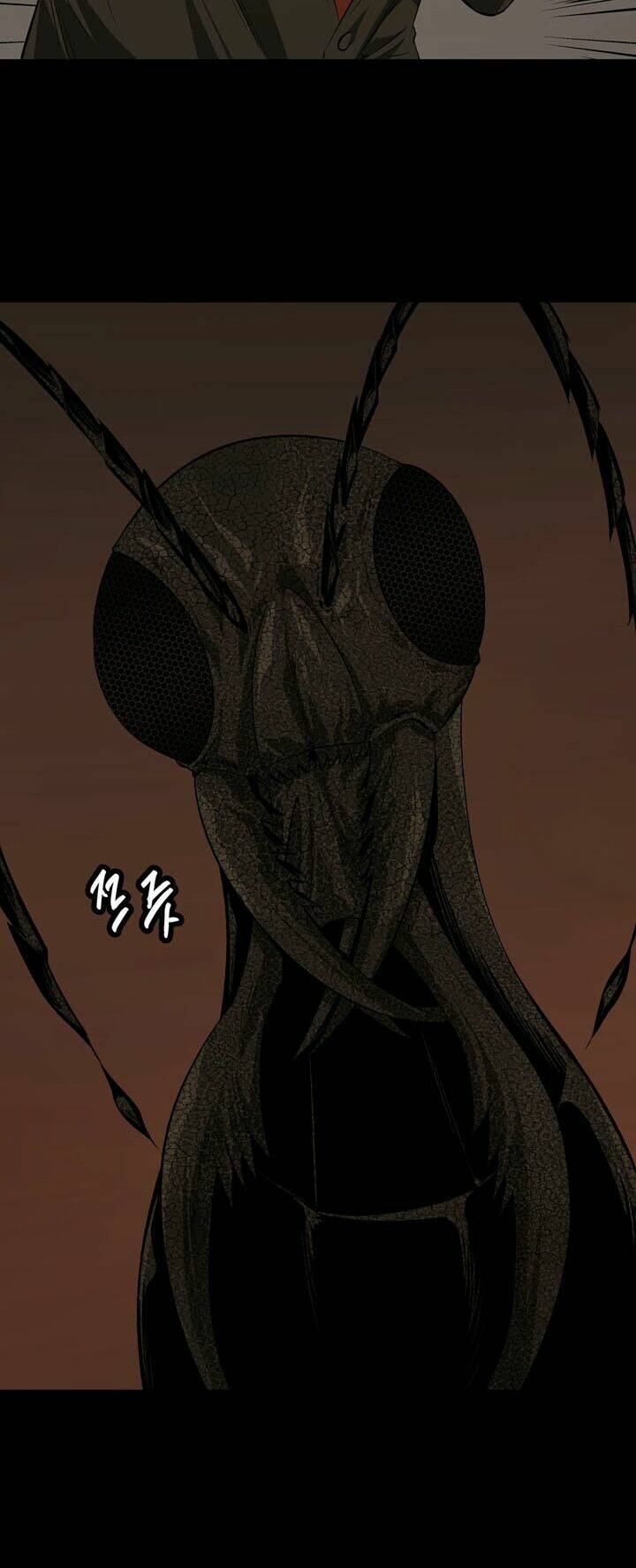 Thảm Họa Ong Độc Chapter 9 - Trang 2