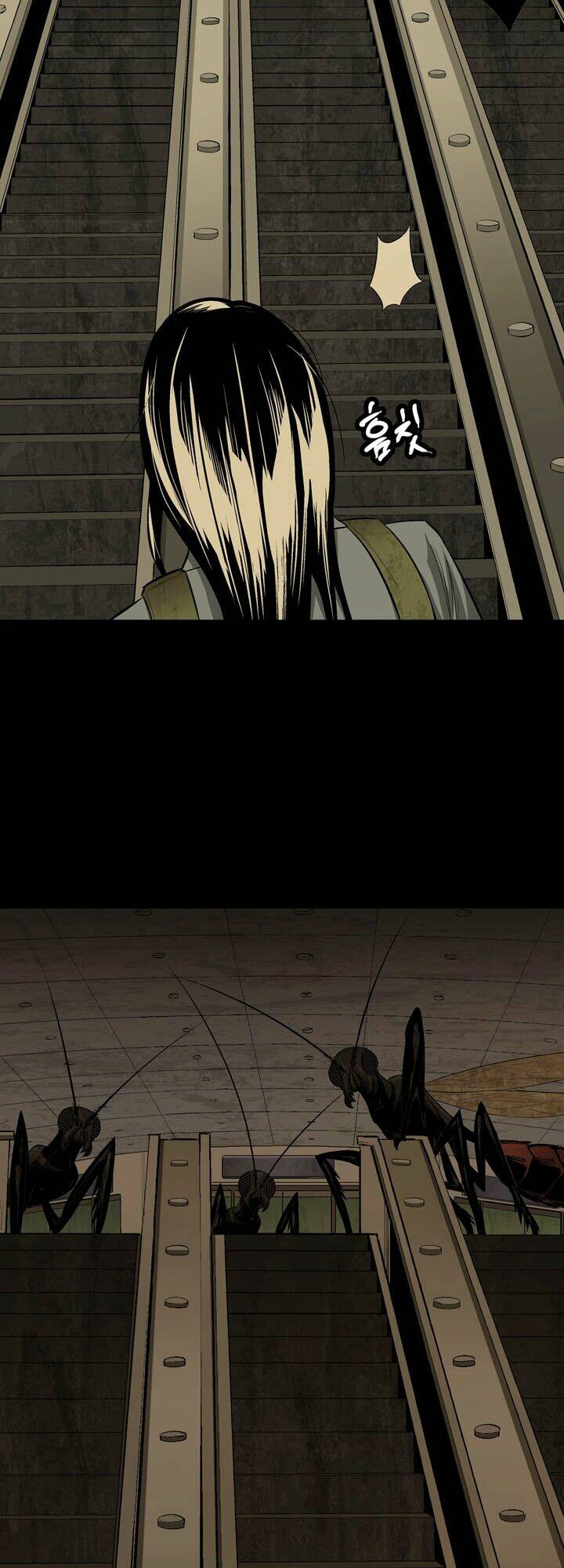 Thảm Họa Ong Độc Chapter 9 - Trang 2