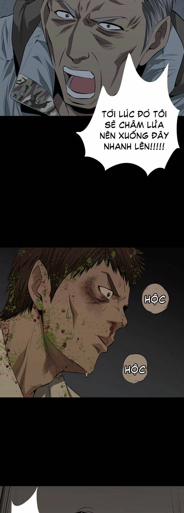 Thảm Họa Ong Độc Chapter 9 - Trang 2