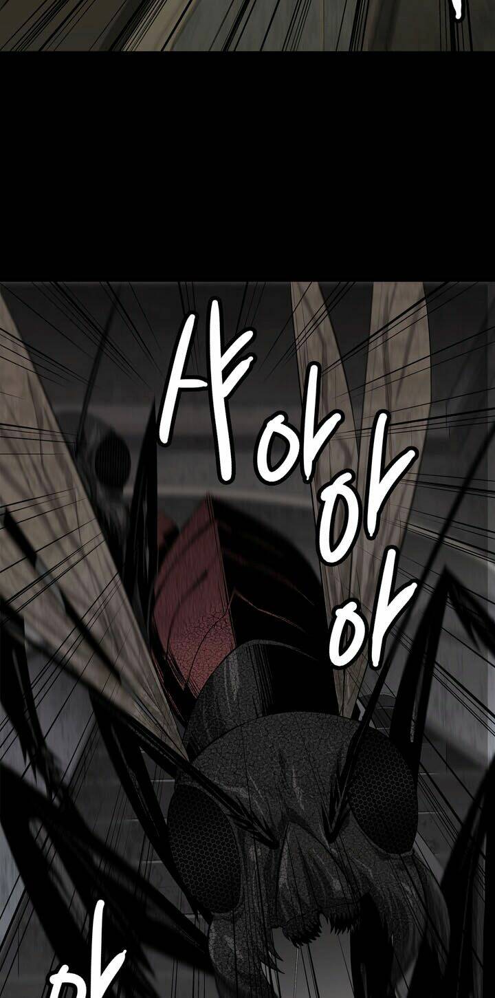 Thảm Họa Ong Độc Chapter 9 - Trang 2