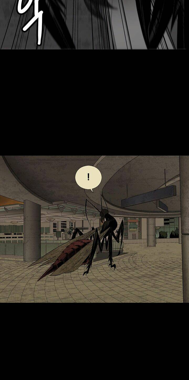 Thảm Họa Ong Độc Chapter 9 - Trang 2