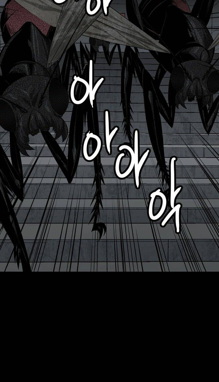 Thảm Họa Ong Độc Chapter 9 - Trang 2