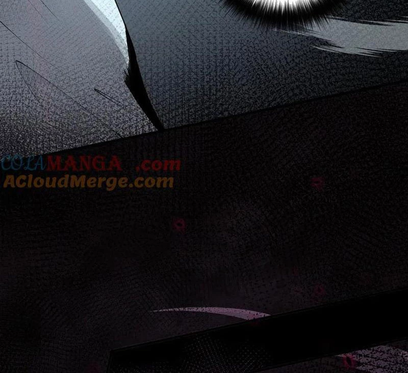 Thảm Họa Tử Linh Sư Chapter 105 - Trang 2