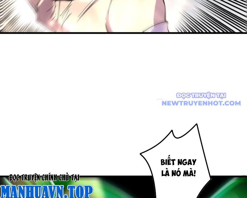 Thảm Họa Tử Linh Sư Chapter 150 - Trang 2