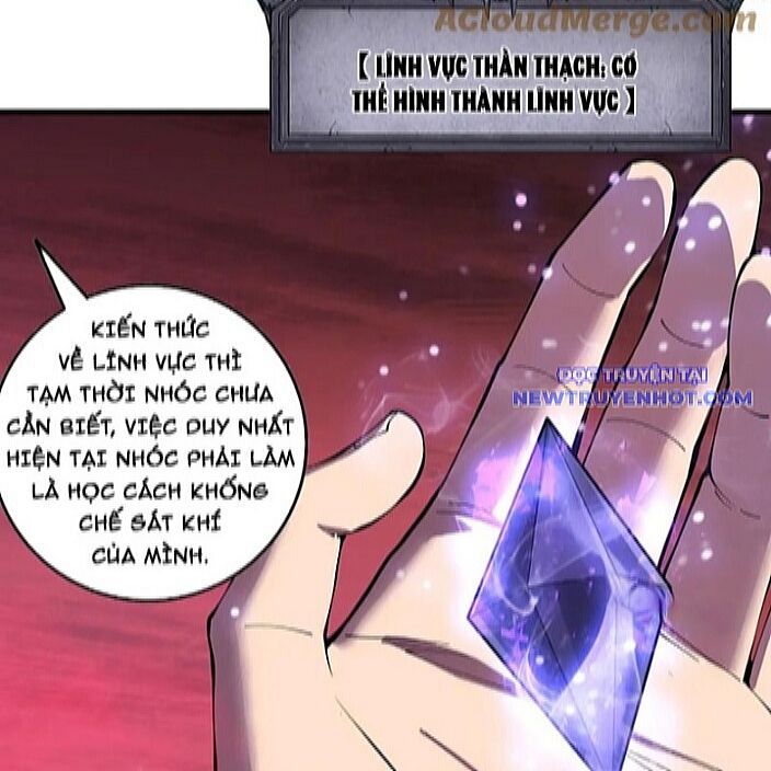 Thảm Họa Tử Linh Sư Chapter 156 - Trang 2