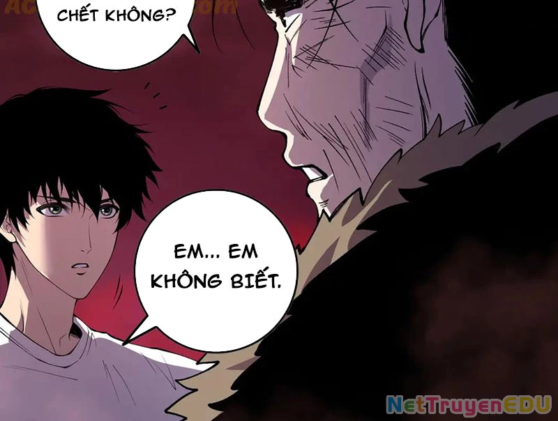 Thảm Họa Tử Linh Sư Chapter 157 - Trang 2