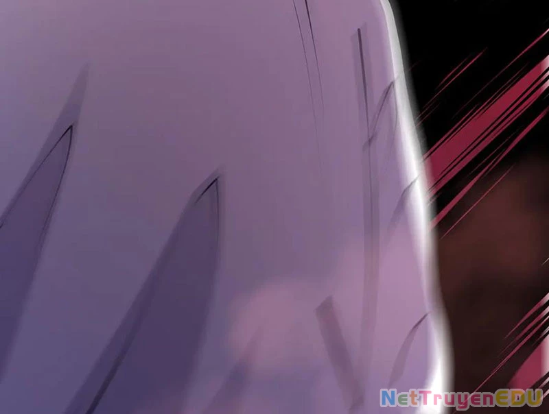 Thảm Họa Tử Linh Sư Chapter 157 - Trang 2