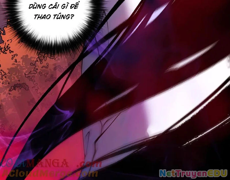 Thảm Họa Tử Linh Sư Chapter 157 - Trang 2