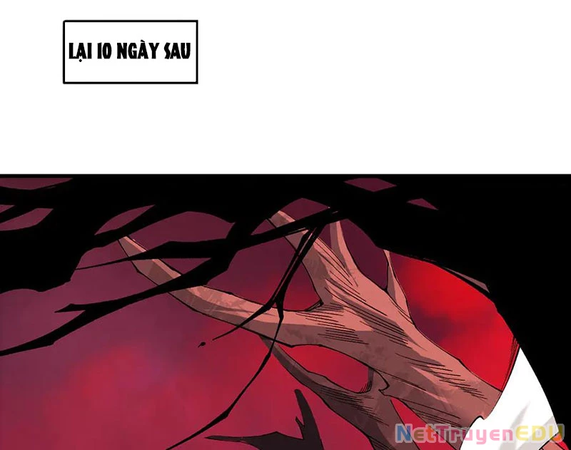 Thảm Họa Tử Linh Sư Chapter 157 - Trang 2