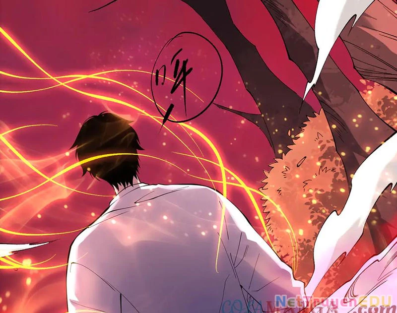 Thảm Họa Tử Linh Sư Chapter 157 - Trang 2