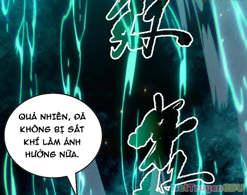 Thảm Họa Tử Linh Sư Chapter 157 - Trang 2