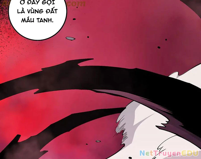 Thảm Họa Tử Linh Sư Chapter 157 - Trang 2