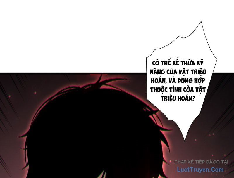 Thảm Họa Tử Linh Sư Chapter 233 - Trang 2