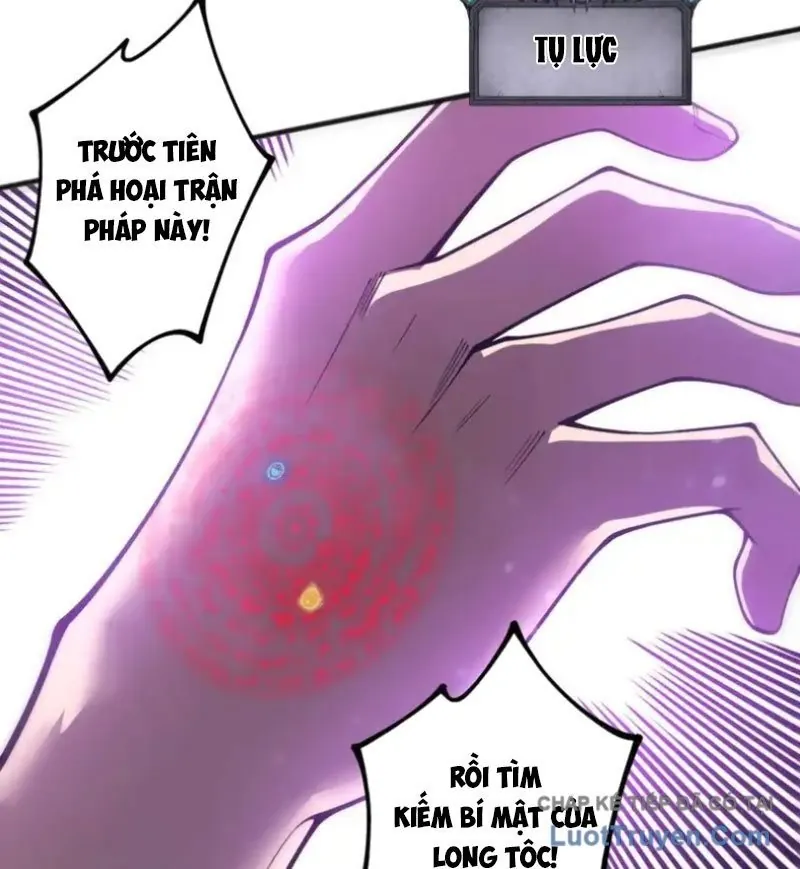 Thảm Họa Tử Linh Sư Chapter 234 - Trang 2