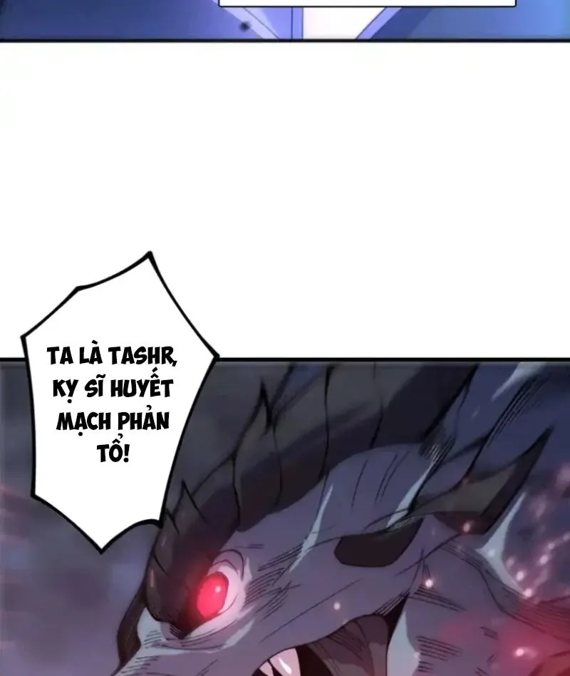 Thảm Họa Tử Linh Sư Chapter 234 - Trang 2