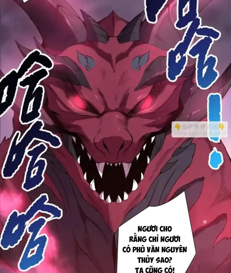 Thảm Họa Tử Linh Sư Chapter 234 - Trang 2