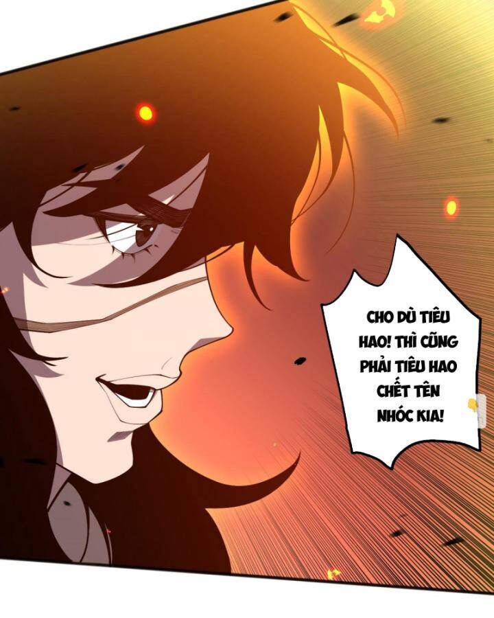 Thảm Họa Tử Linh Sư Chapter 85 - Trang 2