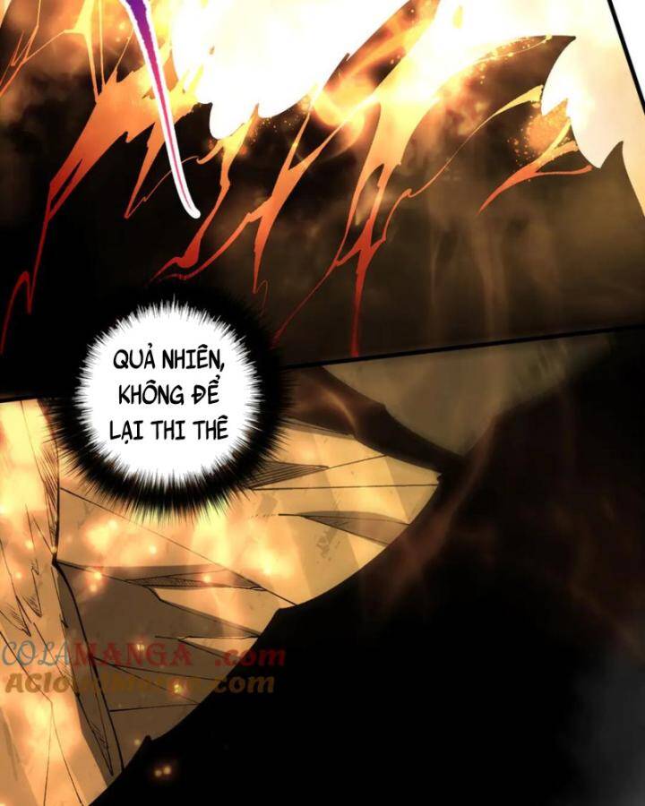 Thảm Họa Tử Linh Sư Chapter 87 - Trang 2