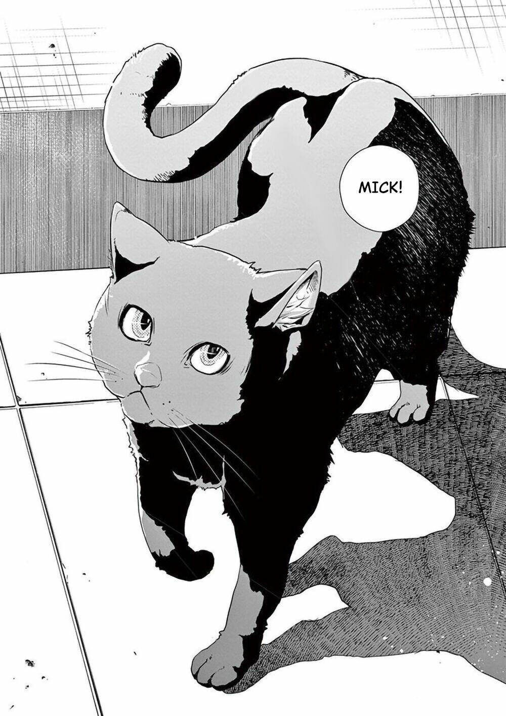 Thám Tử Fuuto Chapter 16 - Trang 2