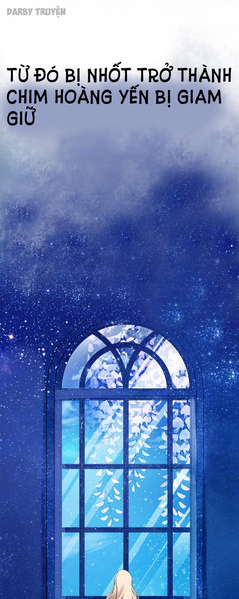 Thần Bí Đế Thiếu Điềm Sủng Thê Chapter 0 - Trang 2