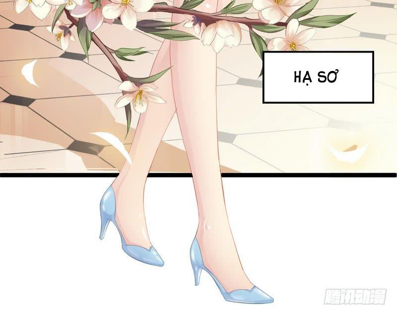 Thần Bí Đế Thiếu Điềm Sủng Thê Chapter 1 - Trang 2