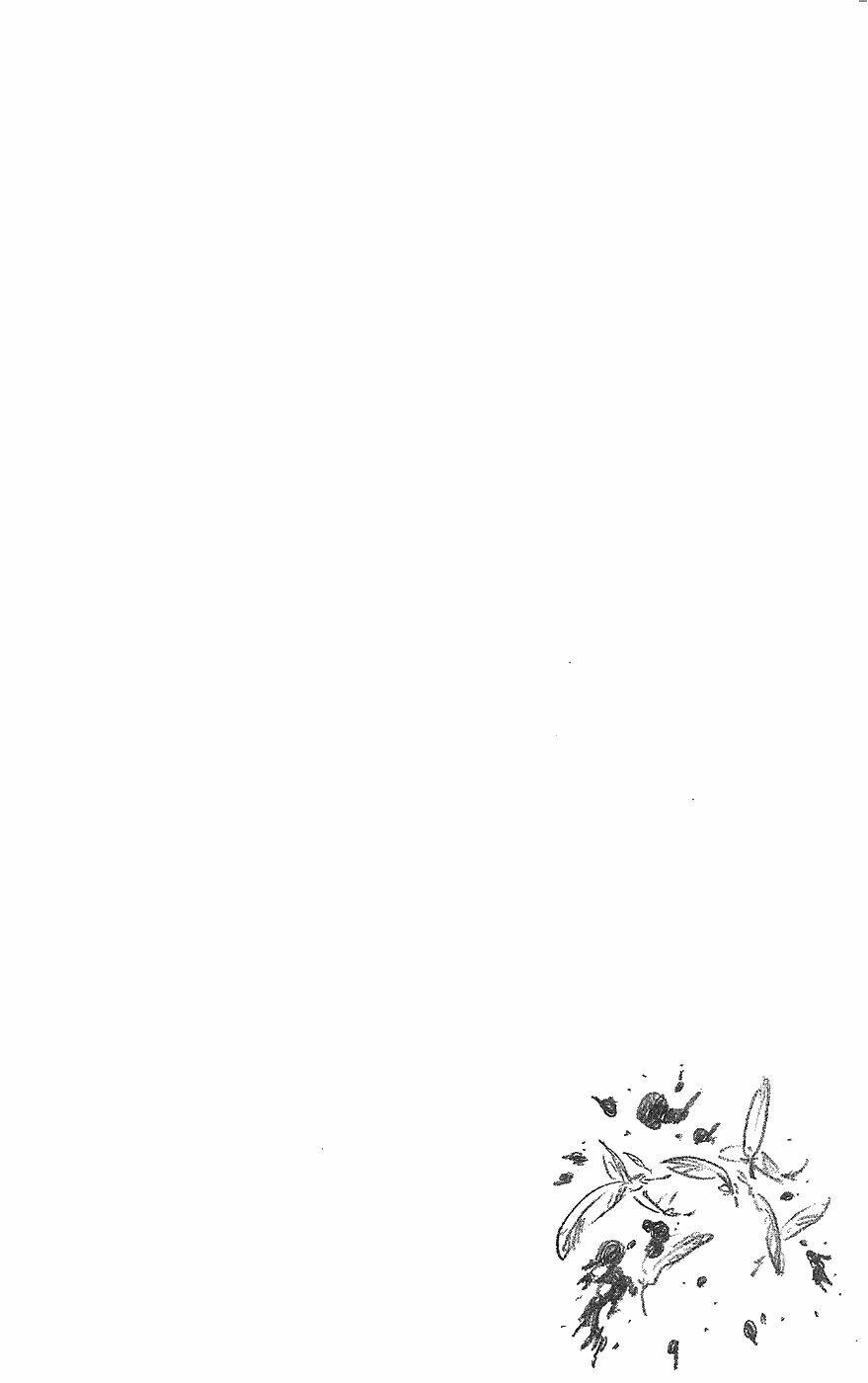 Thần Chết Ichigo Chapter 238 - Trang 2