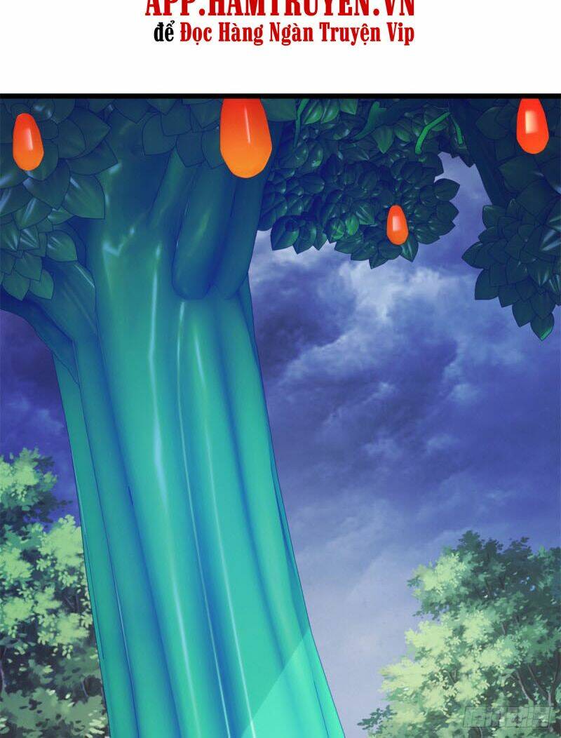 Thần Hồn Võ Đế Chapter 137 - Trang 2