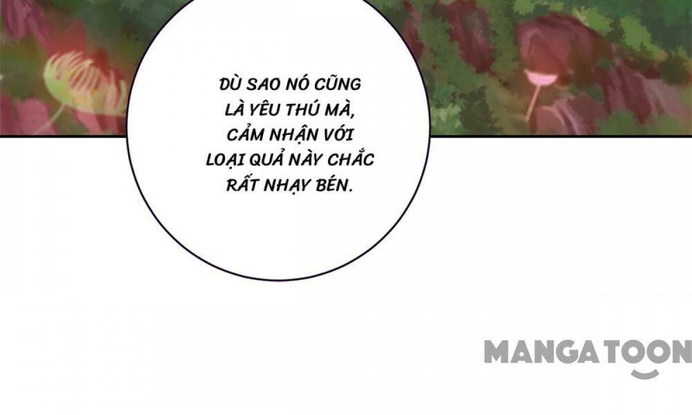 Thần Hồn Võ Đế Chapter 284 - Trang 2