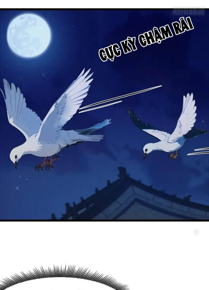 Thần Long Đi Trốn, Xui Xẻo Gặp Nữ Đế Đi Theo Giúp Ta Chăn Heo Chapter 49 - Trang 2