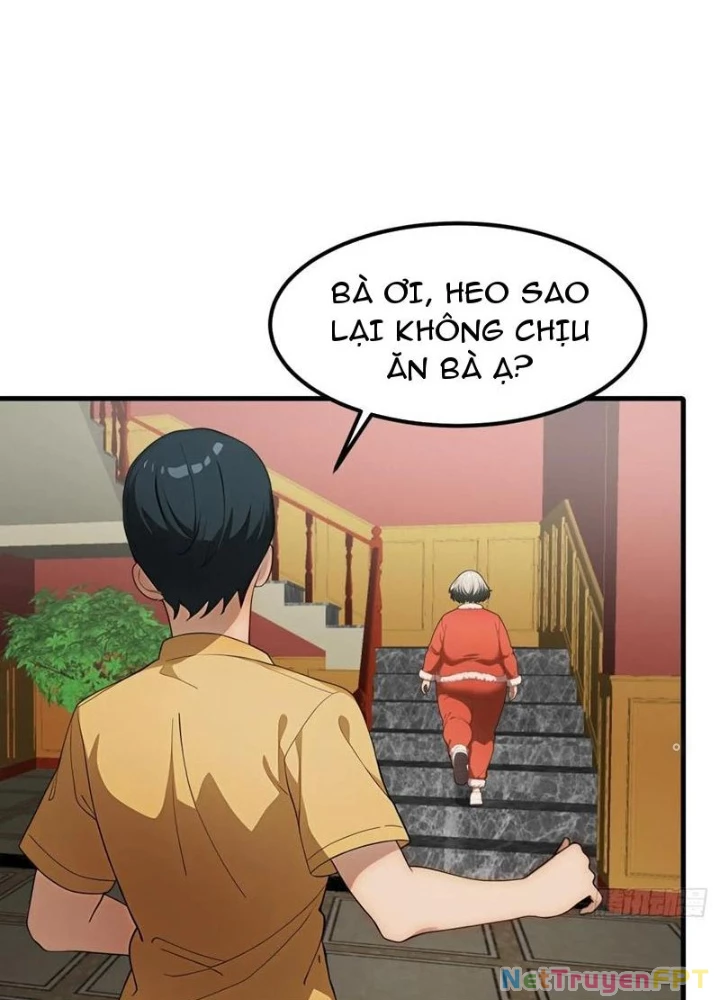 Thần Long Đi Trốn, Xui Xẻo Gặp Nữ Đế Đi Theo Giúp Ta Chăn Heo Chapter 53 - Trang 2