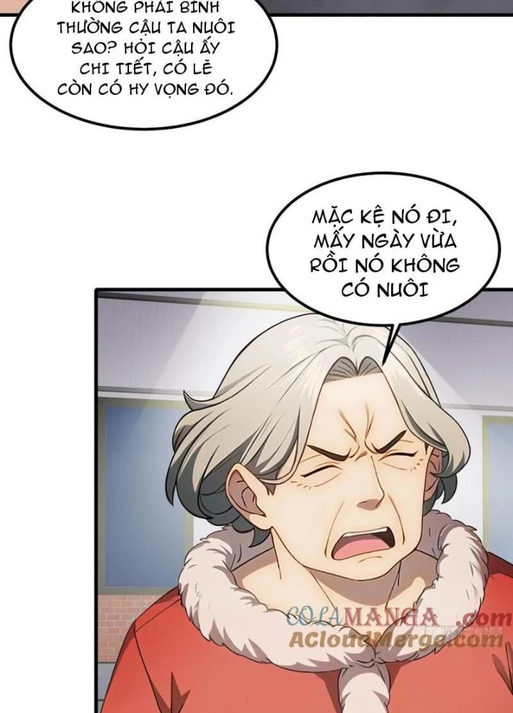 Thần Long Đi Trốn, Xui Xẻo Gặp Nữ Đế Đi Theo Giúp Ta Chăn Heo Chapter 54 - Trang 2