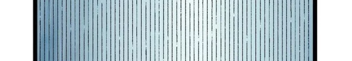 Thần Long Đi Trốn, Xui Xẻo Gặp Nữ Đế Đi Theo Giúp Ta Chăn Heo Chapter 75 - Trang 2