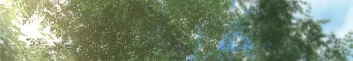 Thần Long Đi Trốn, Xui Xẻo Gặp Nữ Đế Đi Theo Giúp Ta Chăn Heo Chapter 94 - Trang 2