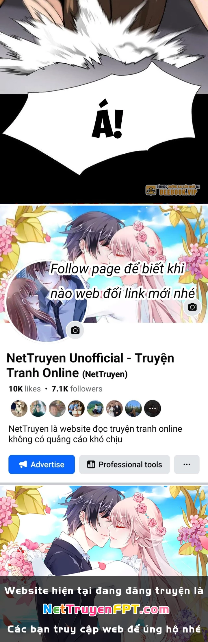 Thần Long Đi Trốn, Xui Xẻo Gặp Nữ Đế Đi Theo Giúp Ta Chăn Heo Chapter 97 - Trang 2